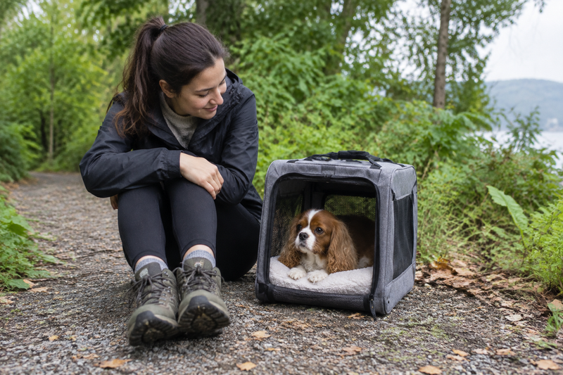 How to Choose a Dog Carrier for Vet Visits and Everyday Travel