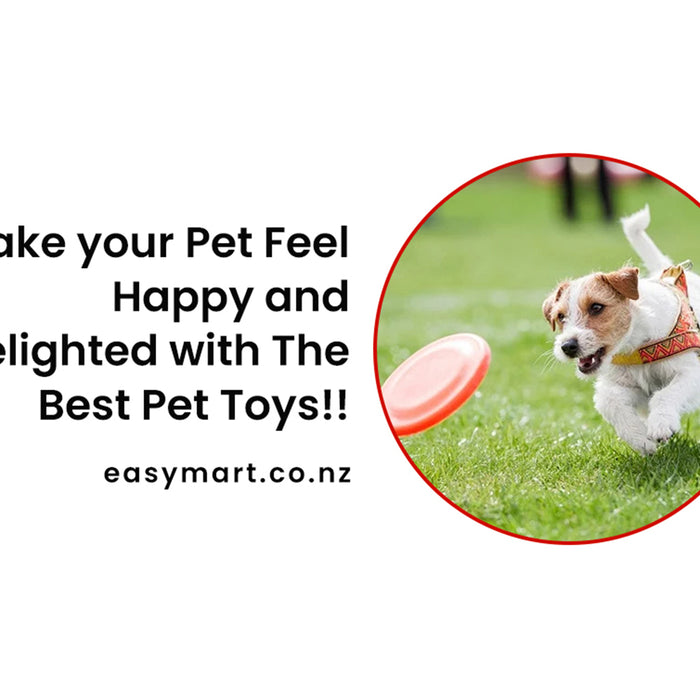 Make Your Pet Feel Happy and Delighted with The Best Pet Toys