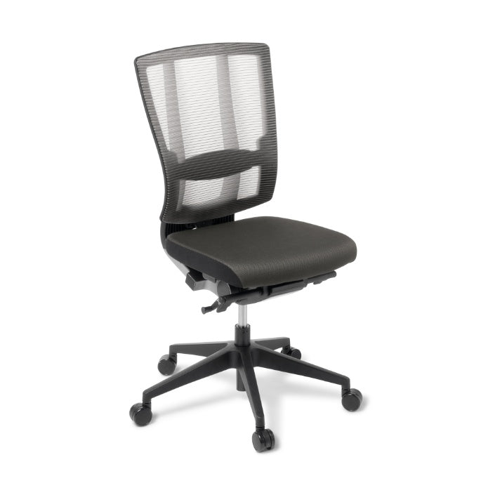 Eden Cloud Ergo Chair No Arm