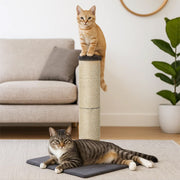 Pawz Cat Scratcher Scratching Post