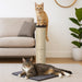 Pawz Cat Scratcher Scratching Post-2052531404180426758