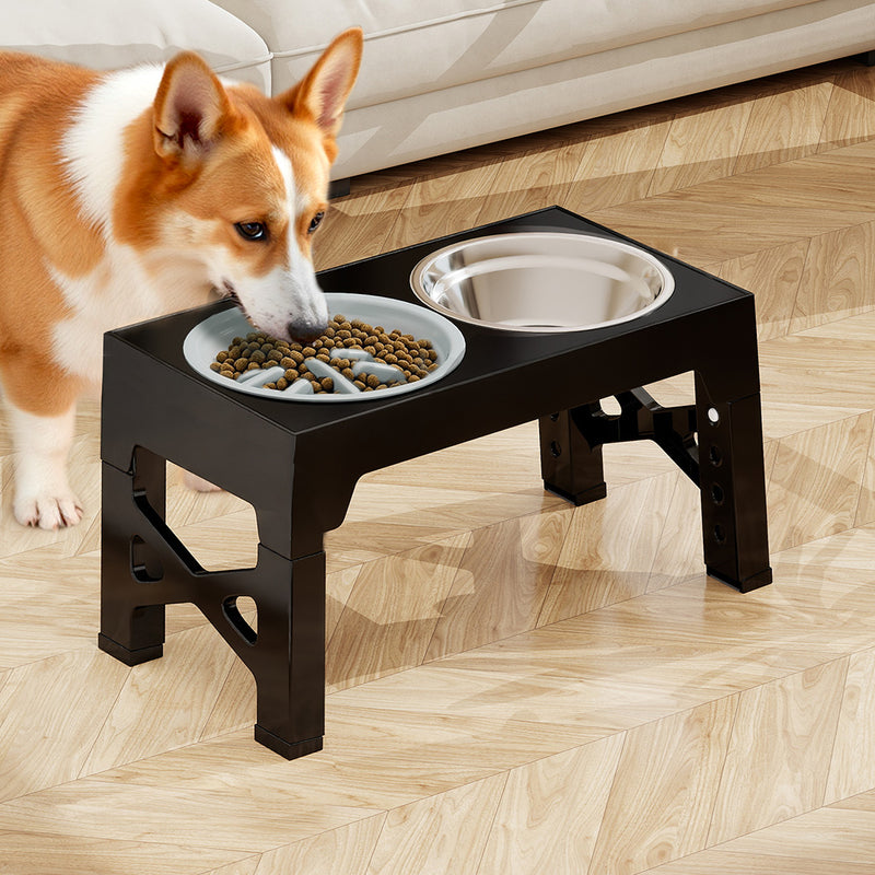 PaWz Elevated Dog Bowls 2 Stainless Steel Bowls and 1 Slow Feeder Bowl