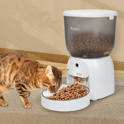 Pawz 4L Auto Pet Feeder Automatic Camera WiFi App