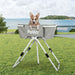 PaWz Pet Bathtub Adjustable Height Folding-2052531675694501895