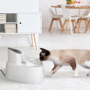 PaWz Electric Pet Water Fountain Drinking