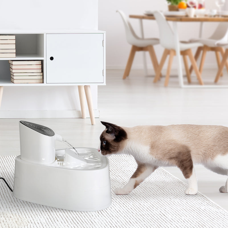 PaWz Electric Pet Water Fountain Drinking