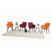 Eden Ferne Sled Base Chair