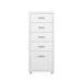 Levede 5 Drawer Office Cabinet Drawers White