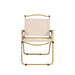 Levede 4PCS Camping Chair Folding Outdoor-2052531338535374849