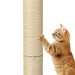 Pawz Cat Scratcher Scratching Post-2052531404180426756