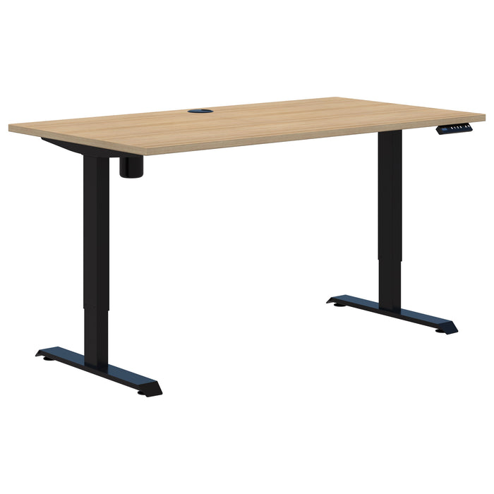 Accent Duo II Electric Desk