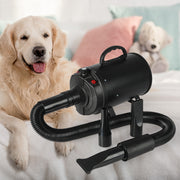 PaWz Dog Cat Pet Hair Dryer Grooming Blow Speed Hairdryer Blower Heater Blaster 2800W