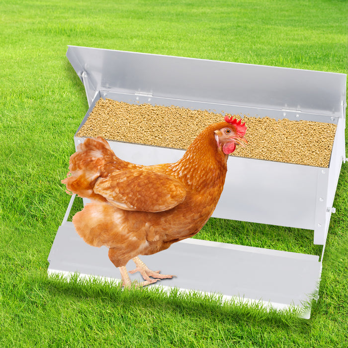 Traderight Automatic Chicken Feeder Self Open Poultry with 10KG Capacity