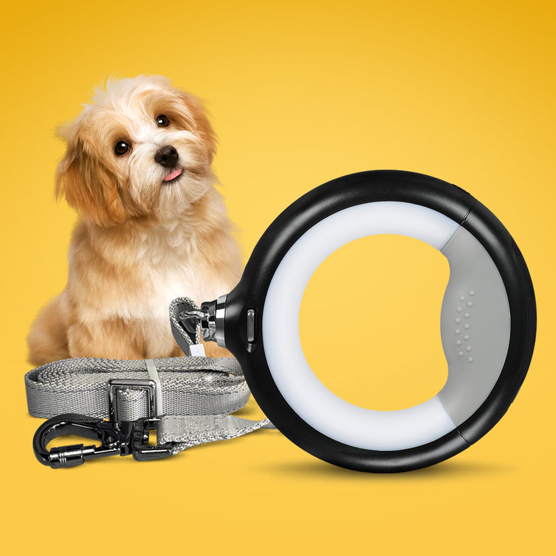 PaWz LED Dog Leash Lead Walking Rope Flashlight Heavy Duty 45kg Capacity White