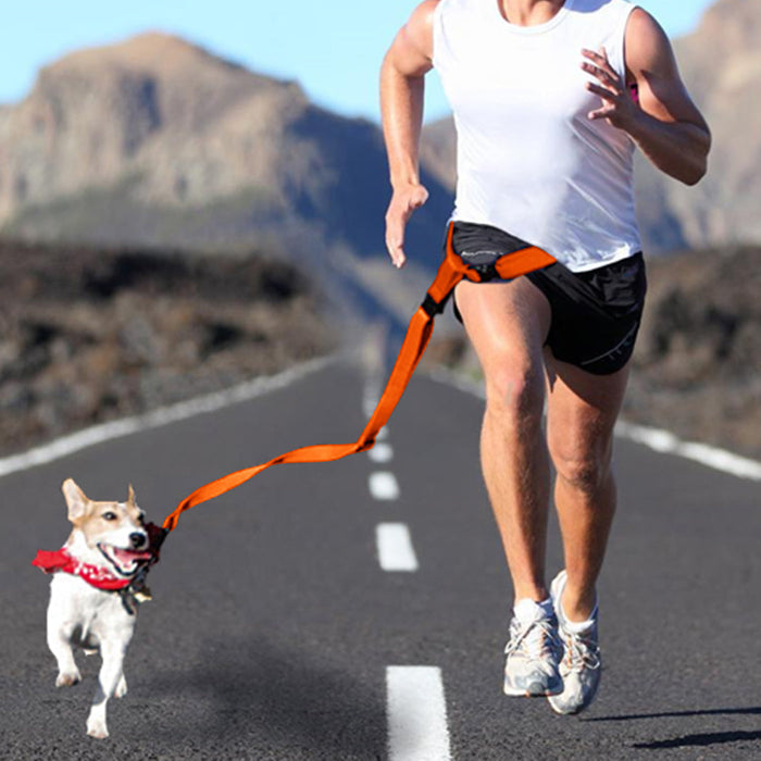 Adjustable Dog Hands Free Leash Waist Belt Buddy Jogging Walking Running